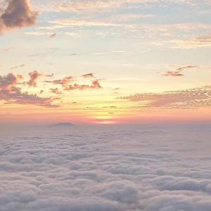 成人❌❌❌免费🔞泡妞
