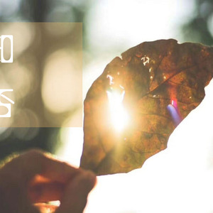 成人❌❌❌免费🔞泡妞
